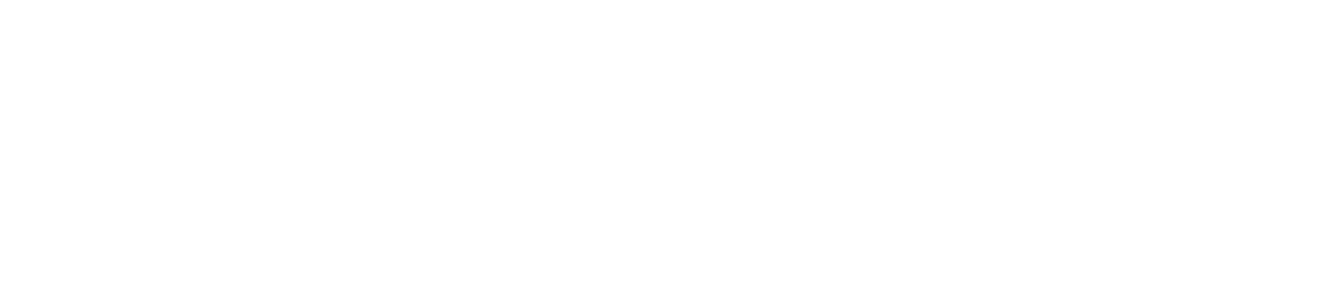 Wake Network Logo